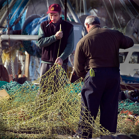 Repairing the Nets