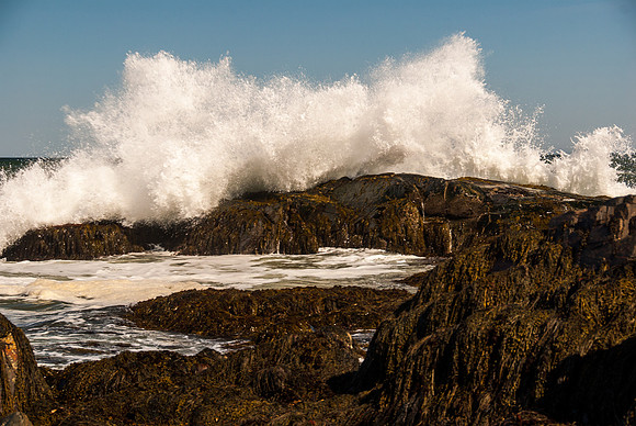 Big Wave