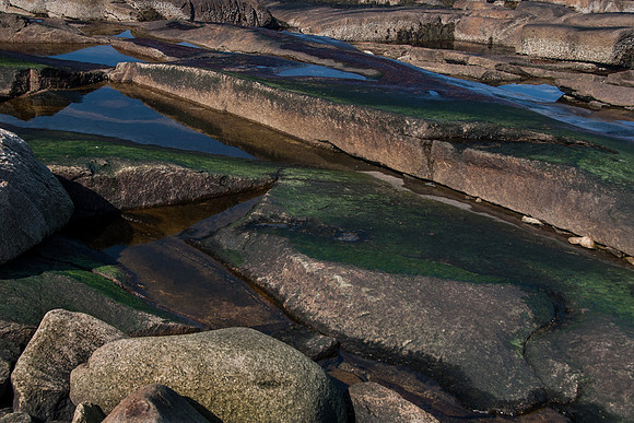 Halibut Point