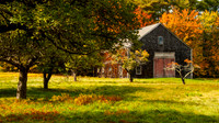 Apple Barn