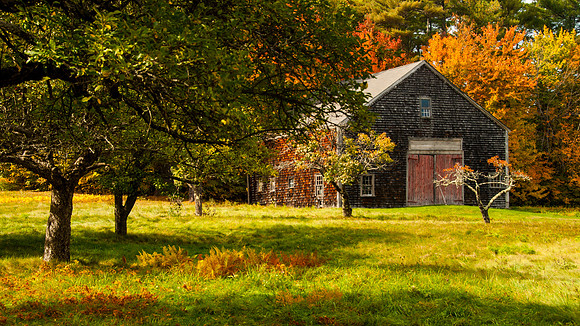 Apple Barn