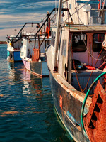 New England Coast