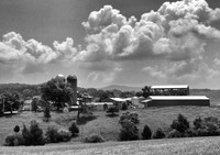 Virginia Farm