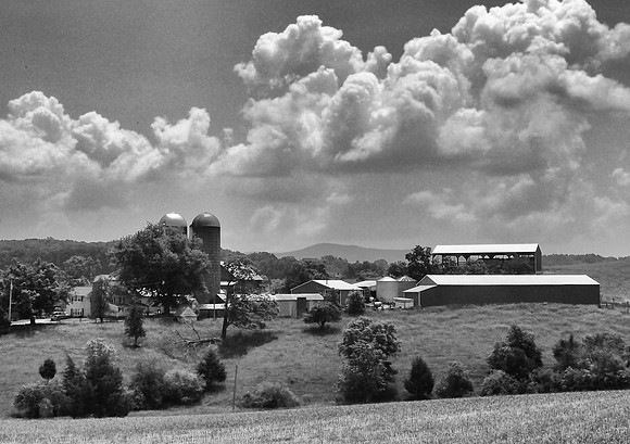 Virginia Farm