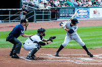 Fisher Cats