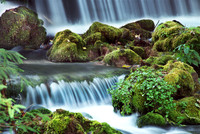 Maramec Spring