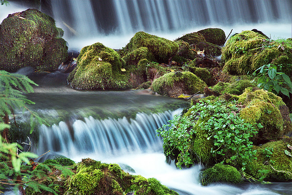 Maramec Spring