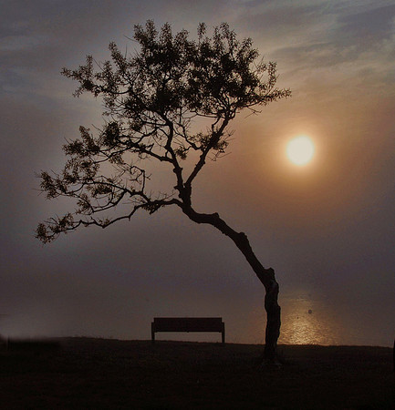 Foggy Sunrise